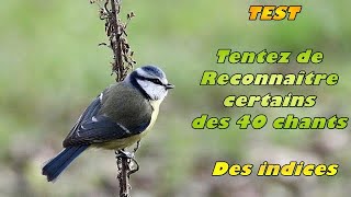 BLIND TEST - RECONNAÎTRE 40 CHANTS d'OISEAUX