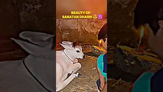 Wakeup To Reality ⚡🙏 Sanatan Dharm ❣️ #sanatandharma #sanatanikishan #krishna #bhakti #bhajan #viral