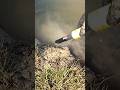 Gold Ring Was Hiding in the River#bestmetaldetector  #shortsvideos