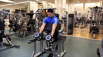 Preacher Hammer Curl - Biceps Exercises