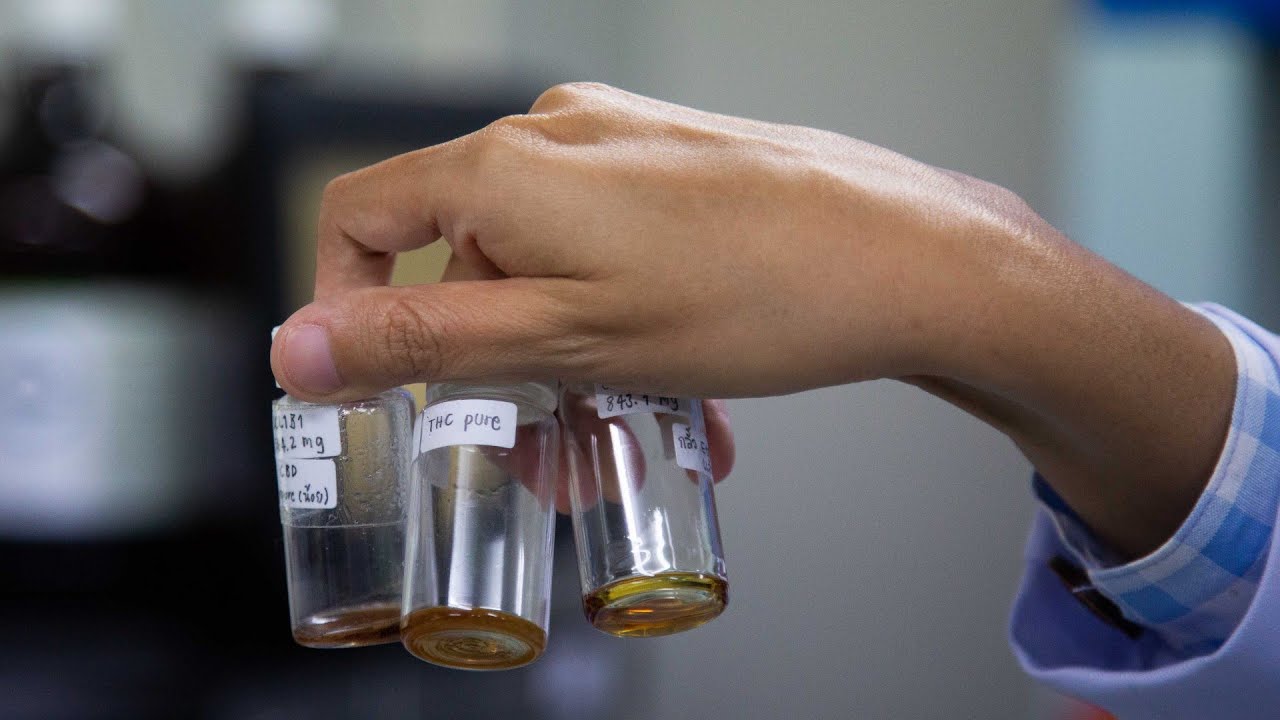 Todo lo que necesitas saber sobre el aceite de CBD