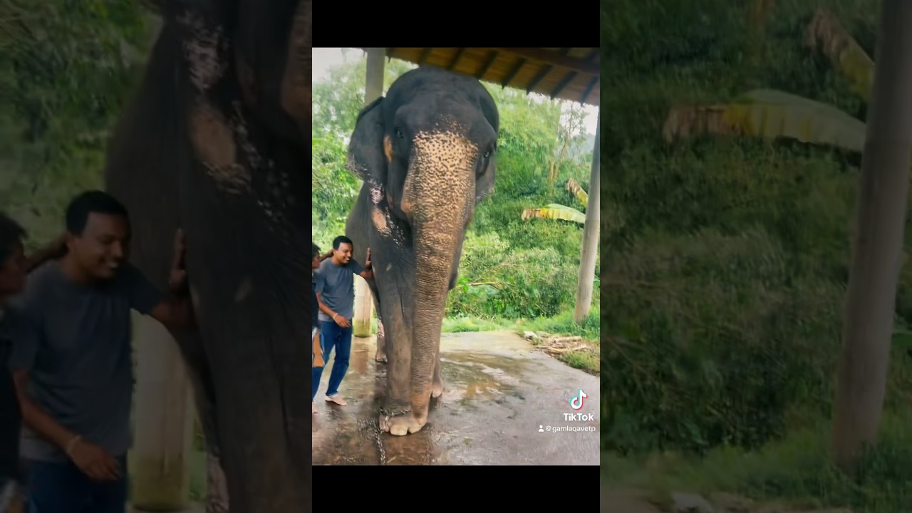 We reached 32,000 Subscribers:)