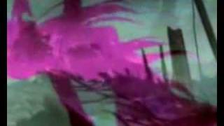 Miniatura de vídeo de "Eisblume (original)"