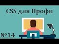 Выпадающее меню на css | CSS для Профи