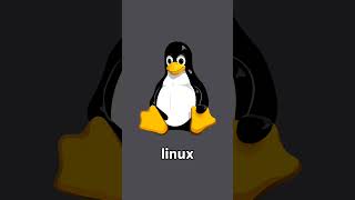 The Secret to Linux's Lightning-Fast Shutdown ⚡