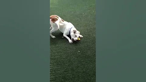 Max at Play