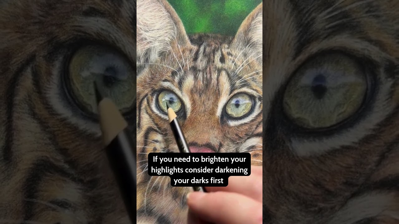 Рисование глаз животного цветными карандашами.