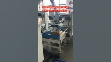 Robotic palletizing demo: integrating into automated production lines. 🔥🔥#palletizerrobot #demo