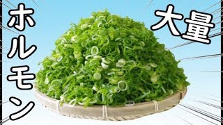 大盛ネギホルモン＋西成暴動ビール【生放送】