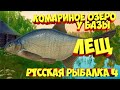 русская рыбалка 4 - Лещ озеро Комариное - рр4 фарм Алексей Майоров russian fishing 4