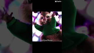 THEODORE IS TOUGH 