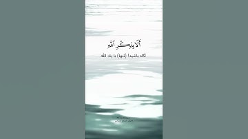 سورة الرعد ٢٨