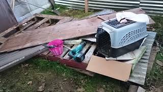 Scrap wood from the pallets p.1