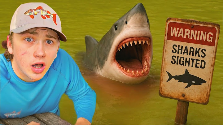 My Pond is Infested with Sharks!