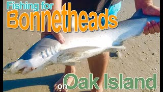 fishing clash bonnethead shark lure Headbanger Cranky Shad 3