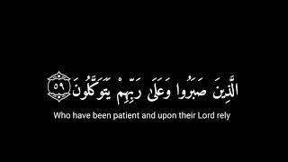 [ الذين صبروا وعلى ربهم يتوكلون ] كرومات قران شاشة سوداء -القارئ عبدالرحمن مسعد سورة العنكبوت