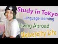 How I moved to Japan (meet Theresa!) 🙋