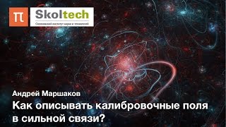 Калибровочные и конформные теории - Андрей Маршаков