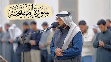سورة الممتحنة كاملة بصوت جميل للشيخ احمد النفيس ـ🌹