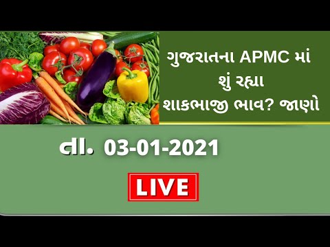 ગુજરાતની અમરેલી APMCના શું રહ્યા શાકભાજી ભાવ?તા.03-01-2021 ભાવ LIVE । TV9 NEWS