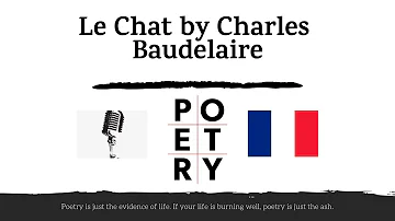Charles Baudelaire - Le Chat - French Poetry - (Learn French)