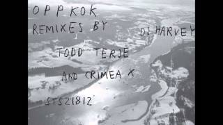 Bjorn Torske - Slitte Sko (Crimea X remix)