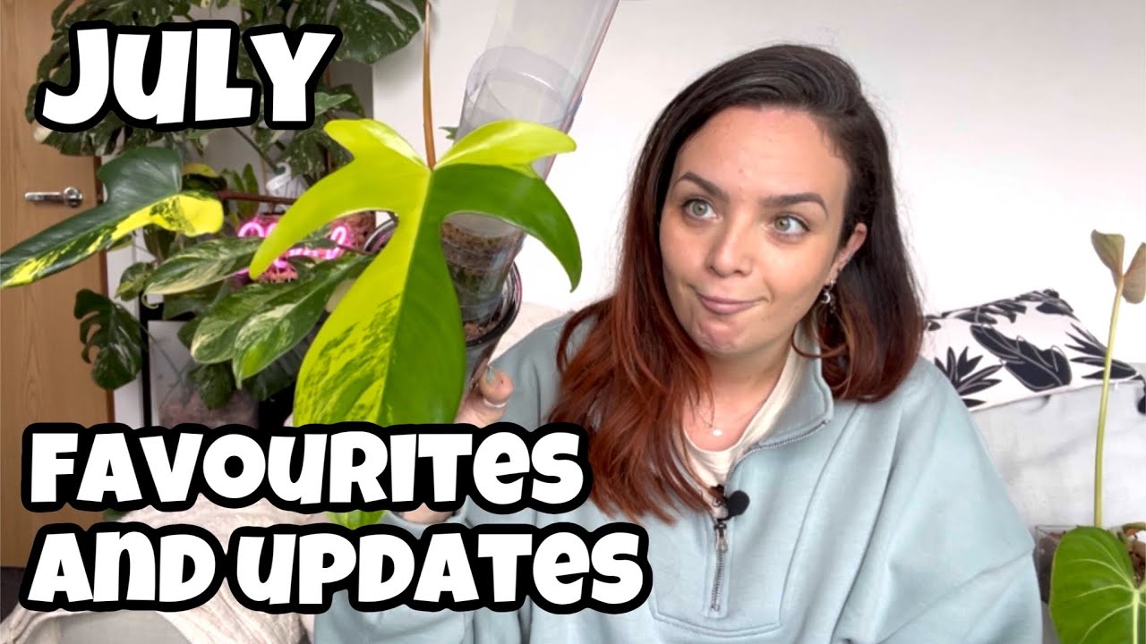 July's FAVOURITES and UPDATES! ð¥³ Plus a PERSONAL update ð - YouTube