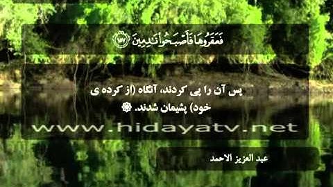 149 / جزء 19 / سوره شعراء (111-180) / تلاوت قرآن با صدای عبد العزيز الأحمد