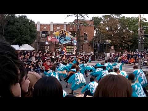 2018 四日市やったろ舞 名古屋学生チーム 鯱 諏訪公園