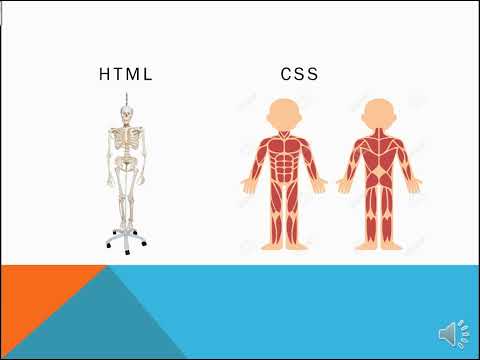 HTML,CSS,JAVASCRIPT (PPT) help for beginners  in coding ,explanation.
