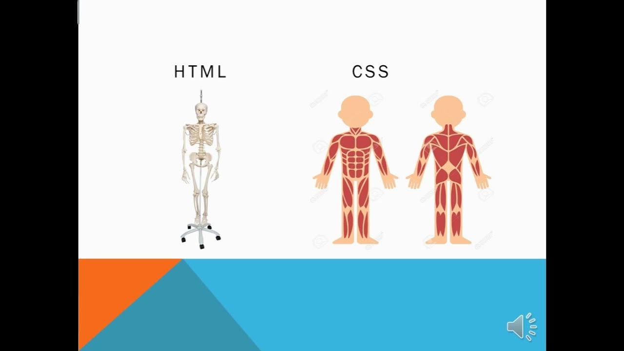 HTML,CSS,JAVASCRIPT (PPT) help for beginners in coding ,explanation ...