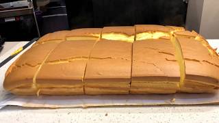 Original Jiggly Cake Cutting