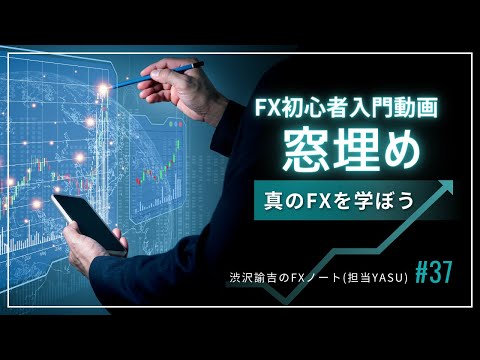 【FX初心者入門動画】なぜ窓は埋めるのか、窓の考え方 #037
