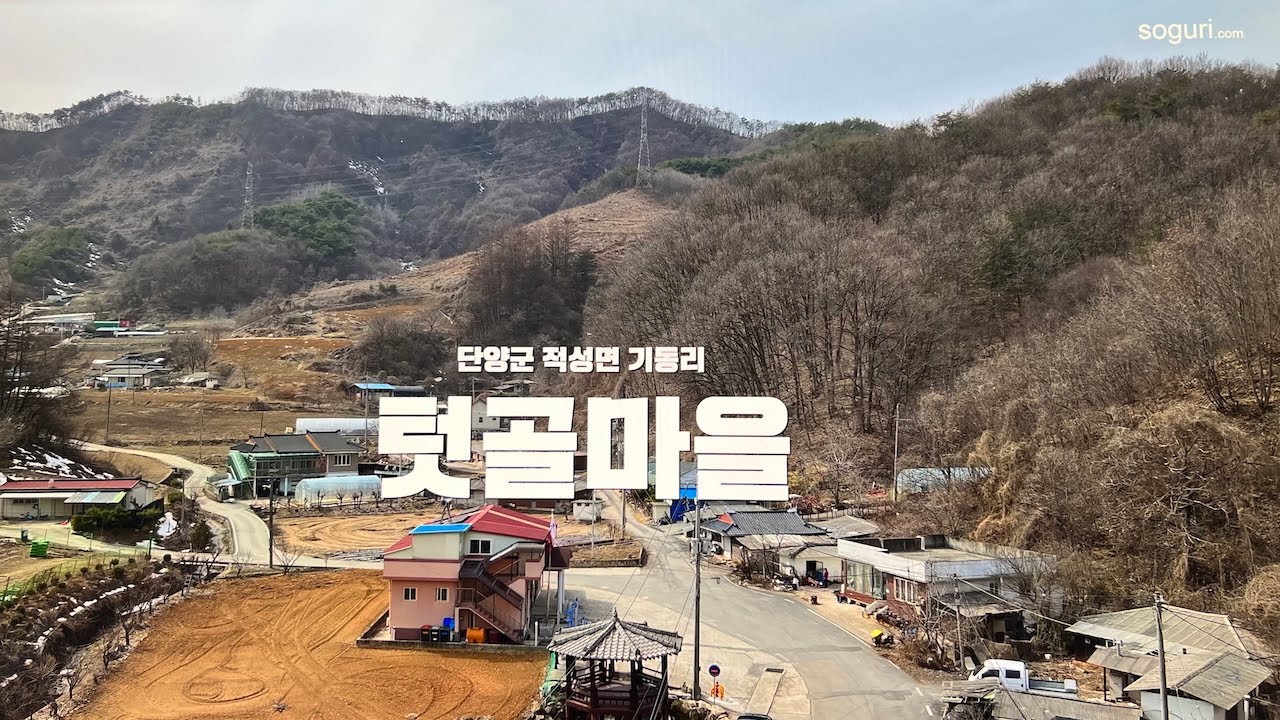 충북 단양군 적성면 기동리 텃골마을 풍경 - 20250313
