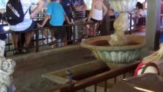 Outside Queue Line Of Phantom Manor