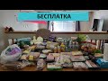 35. БЕСПЛАТКА США // МНОГО МЯСНОГО