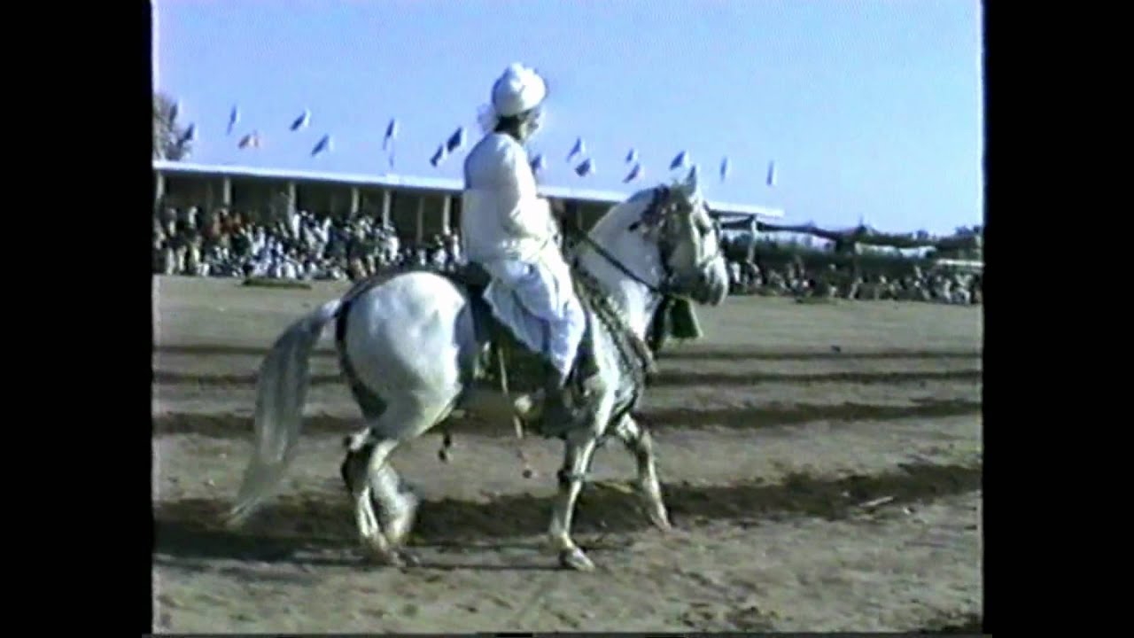 The Classical Master of horse riding in Pakistan Mailk Khudayar Bacher