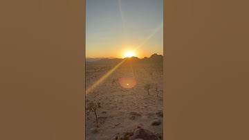 Sunset in Joshua Tree National Park
