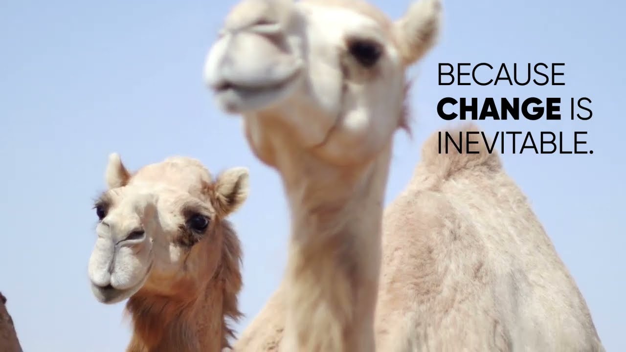 CAMEL COMPACT 1280x720