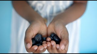 Why are organic wild Nordic blueberries so much better