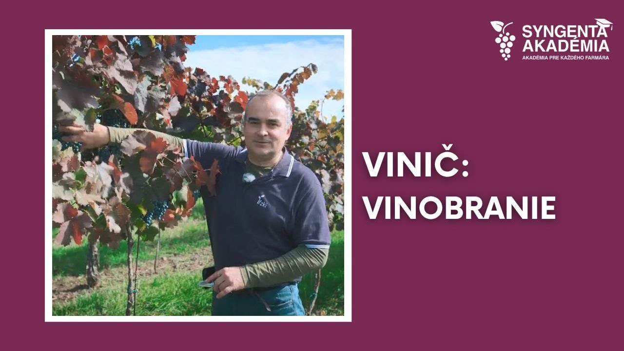 Akadémia Syngenta vinič 7.časť | Syngenta Slovensko