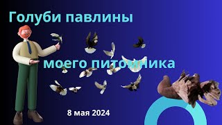 :     8  2024.