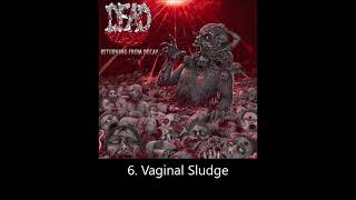 Download Lagu Dead Flesh - Returning from Decay (Full Album) MP3