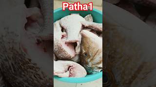 path1 सऊदी दुबई आने वाले जरूर देखे #food #freefire fish #carnivore #elksteaks #groundelk #elk