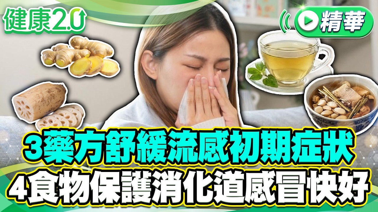 3藥方舒緩流感初期症狀 4食物保護消化道感冒快好【健康2.0 一周精選】#徐克強 #莊海華 #林舜穀