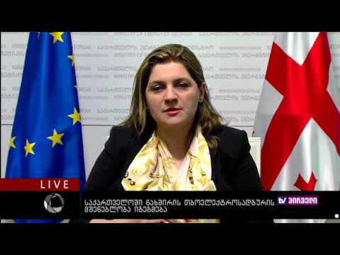 ბიზნესკონტრაქტი 29. 09. 2016 -   საქართველოში   ნახშირის თბოელექტროსადგურის მშენებლობა  იგეგმება