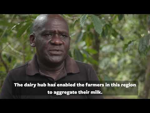 My Coffee Farm's Yields Increased from 900 to 1,900 Kilograms - Patrick Munyi