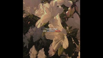 Gorgeous - Taylor Swift #TaylorSwift #Gorgeous #viral #tipografia #edit #shorts #fypシ #modelo #lyric