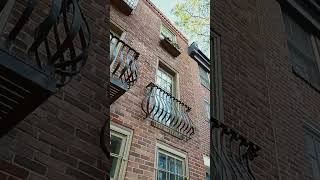 used to look like authentic log cabin inside. could see through floors/ wood etc. old client's home🪵