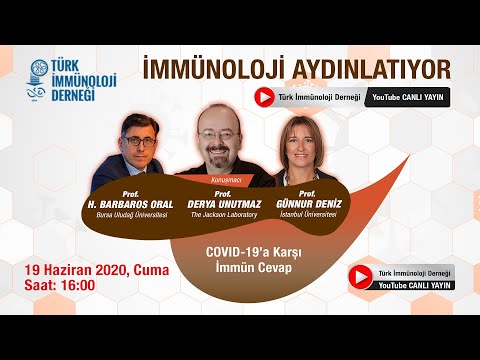 Video: Temiz enerjinin kirli yüzü